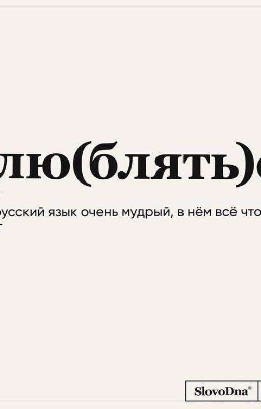 Два врага или лучшие друзья?