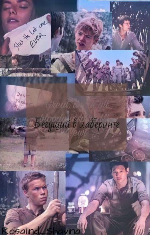 бегущий в лабиринте