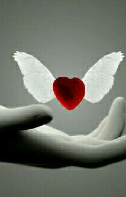 Океан Жизни