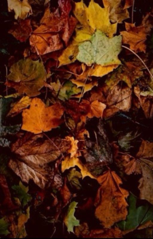 Школьная любовь | Донняшки