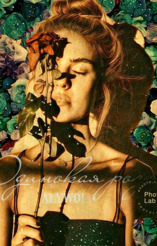 Одинокая роза