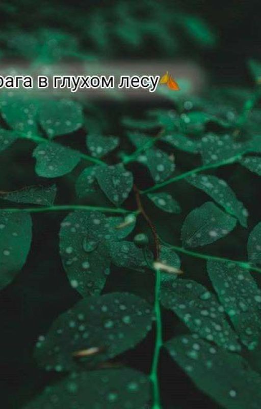 Два врага в глухом лесу🍂