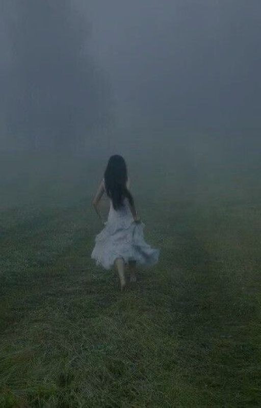 Наследие шторма