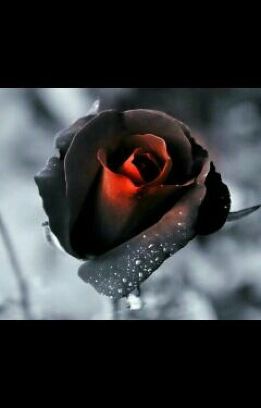 От врага до парня