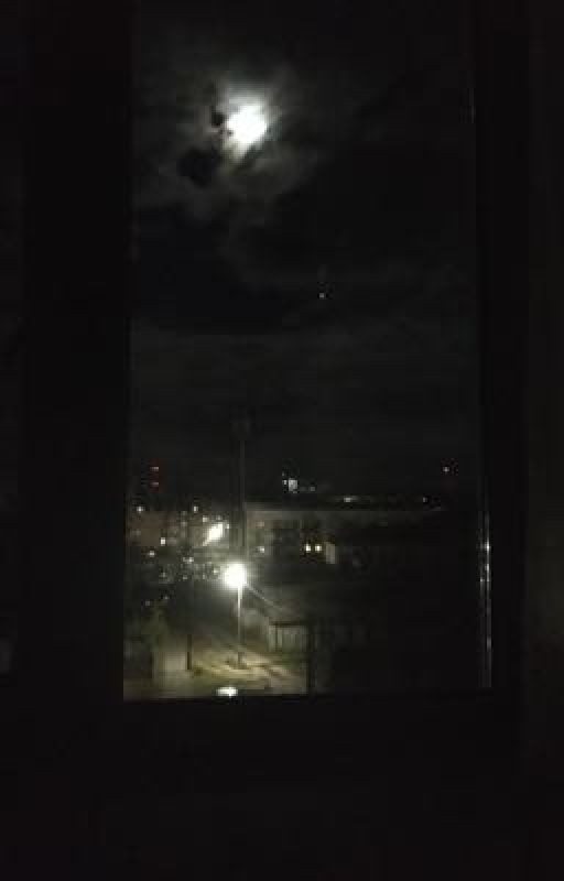 Два врага...а может и нет?