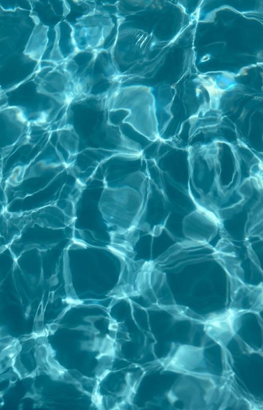 новый друг или же враг