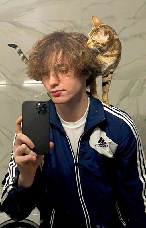 сестра Данона|| Влад