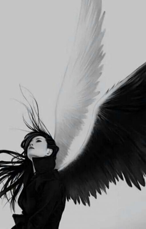 Враг Или Друг?