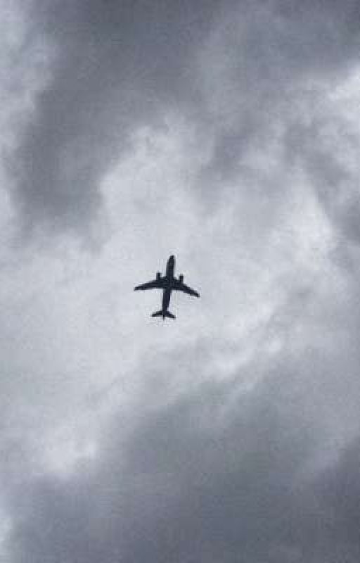 дети с поляны