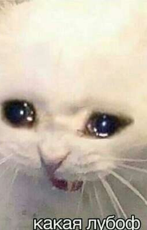 Енто Смешарики блеать