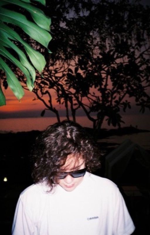 Designer || uglystephan