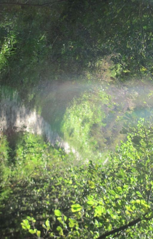 Роман Про Художку