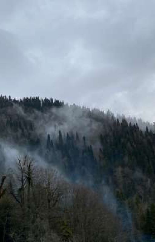 Туман//Слово Пацана//