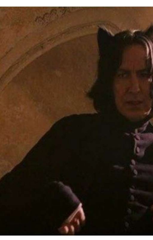 мой (не) любимый учитель зельеварения