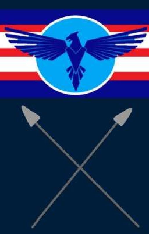 Максим Дубцов: Американская Федерация наносить ответный удар