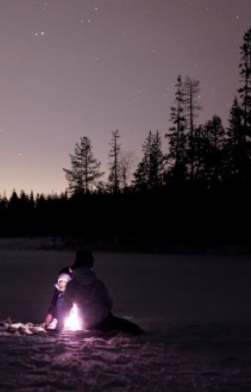 Искры севера