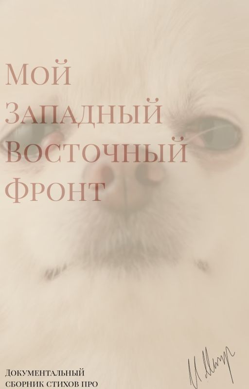 Мой Западный Восточный Фронт