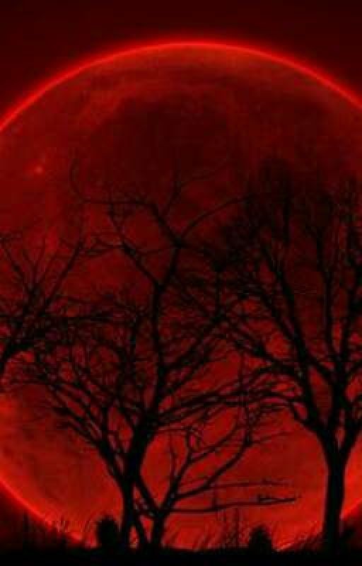 ~"\Однажды под кровавой луной/"~ Т/и + Найт