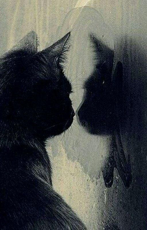 Глория в зазеркалье