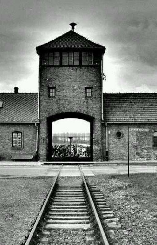 Откровеие Клауса