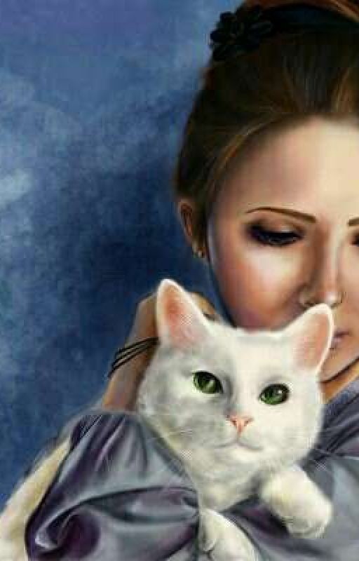 Война или любовь