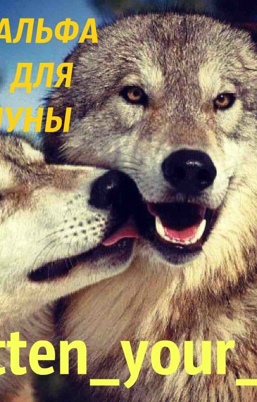 18+ АЛЬФА ДЛЯ ЛУНЫ 18+