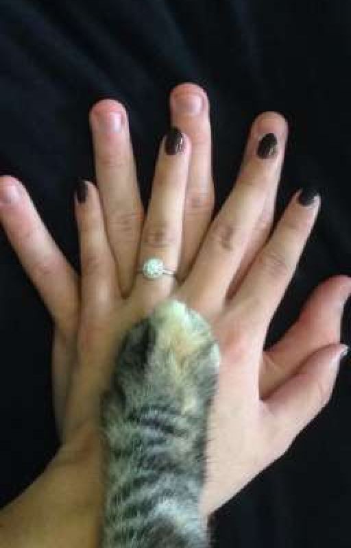 кошка соединила их//Билл каулитц