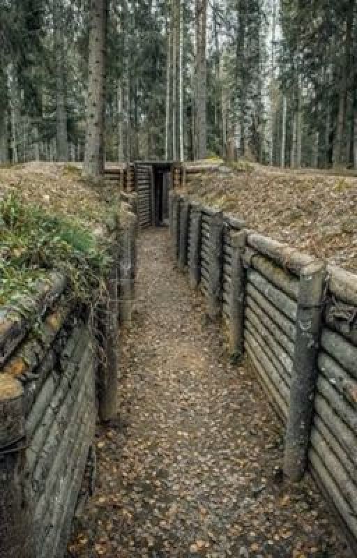 Но тень в окопах не живёт