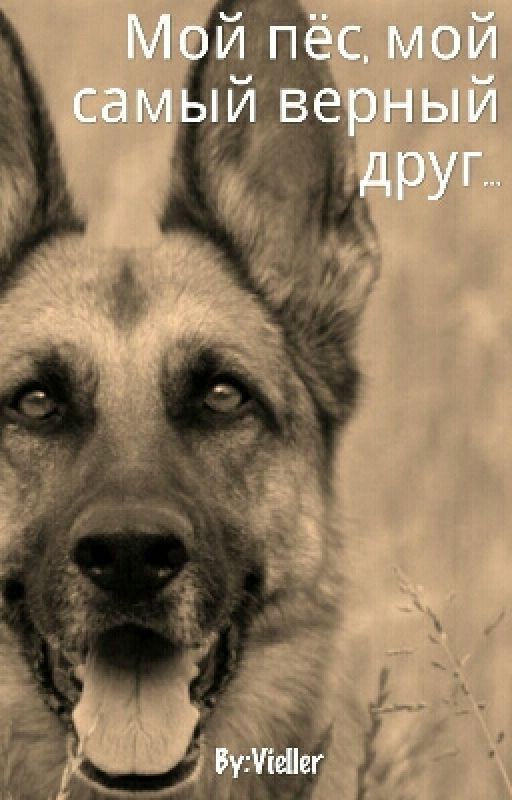 Мой пёс, мой самый верный друг