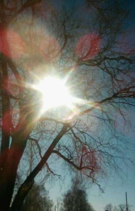 Последняя любовь