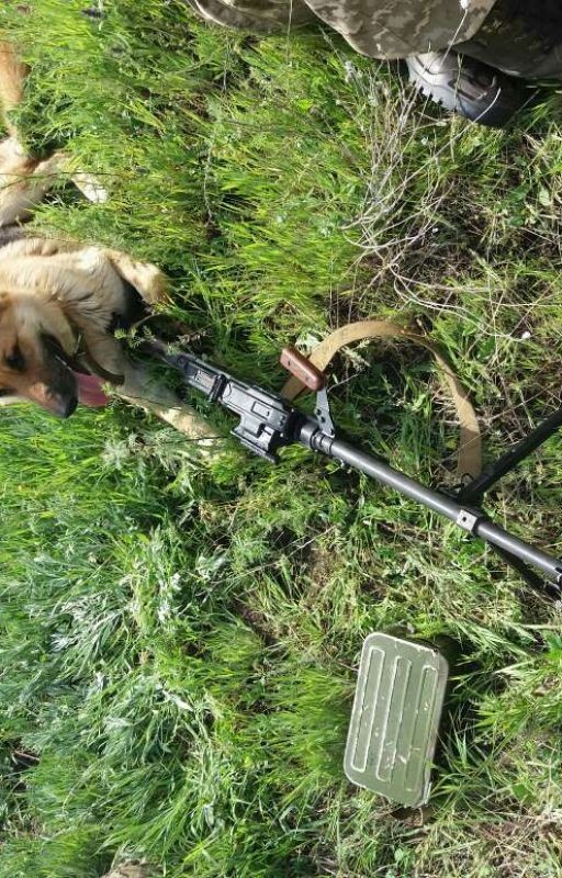 История о 42-м батальоне