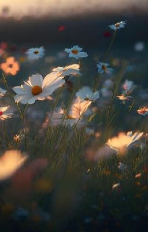 Я люблю тебя, любил и буду любить