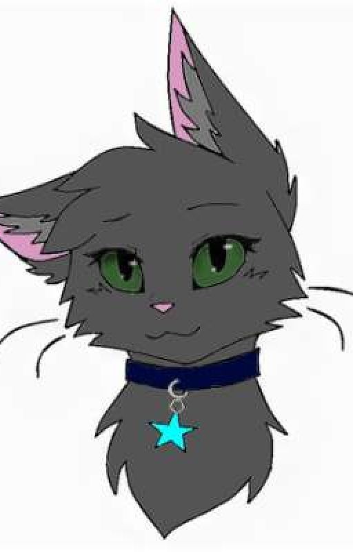 (Трансформеры прайм) коты (ЗАКОНЧИНА)