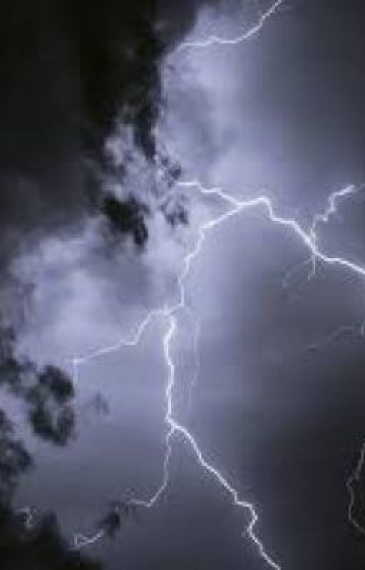 По ту сторону баррикад