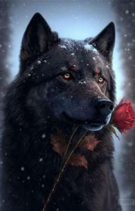 Огненные танцы