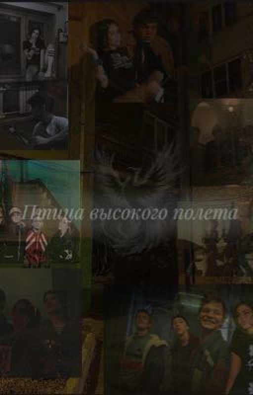 Птица высокого полета|Турбо