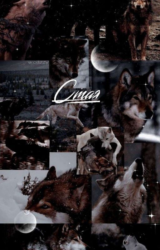 ^Стая^ [J.H.] 《Завершён》