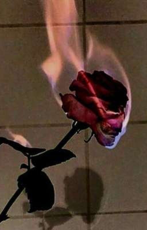 Алая роза со слезой твоих глаз