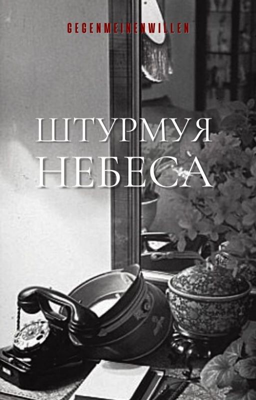 Штурмуя небеса