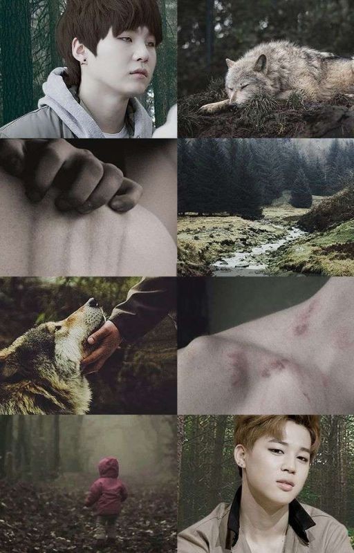 Мой оборотень ~