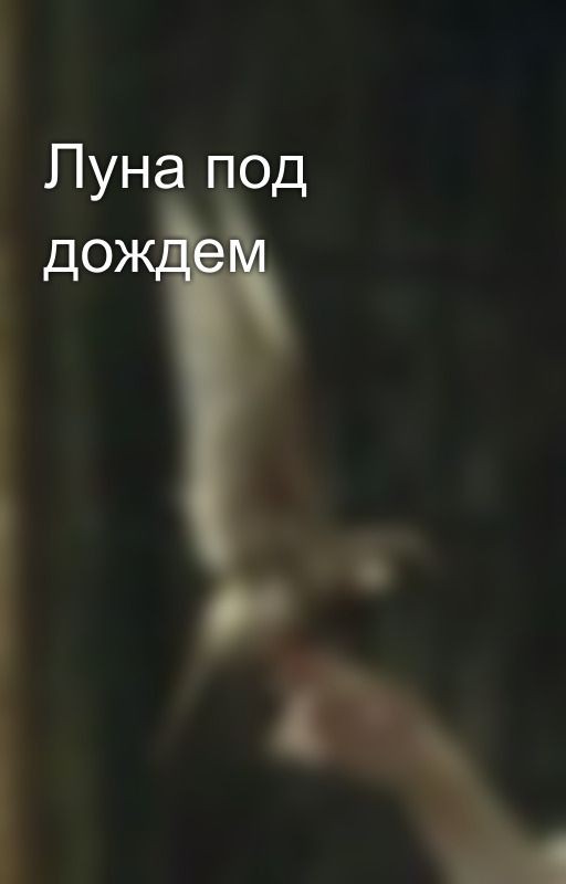 Луна под дождем