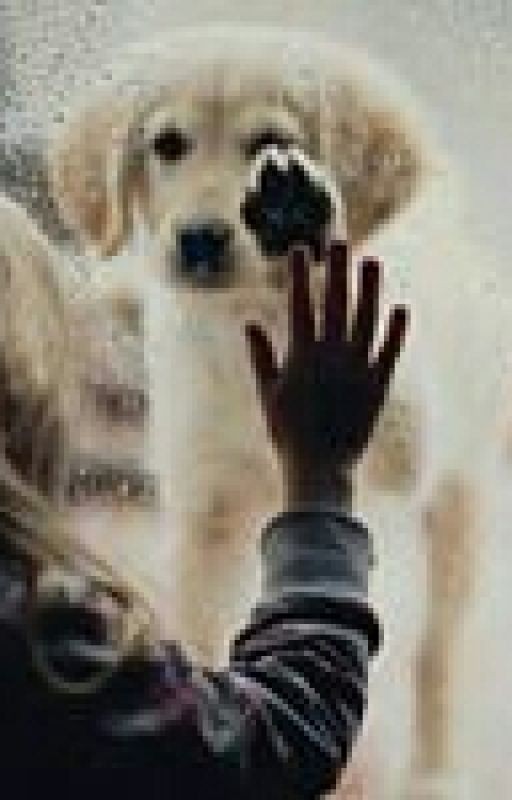 Я Тебя Помню