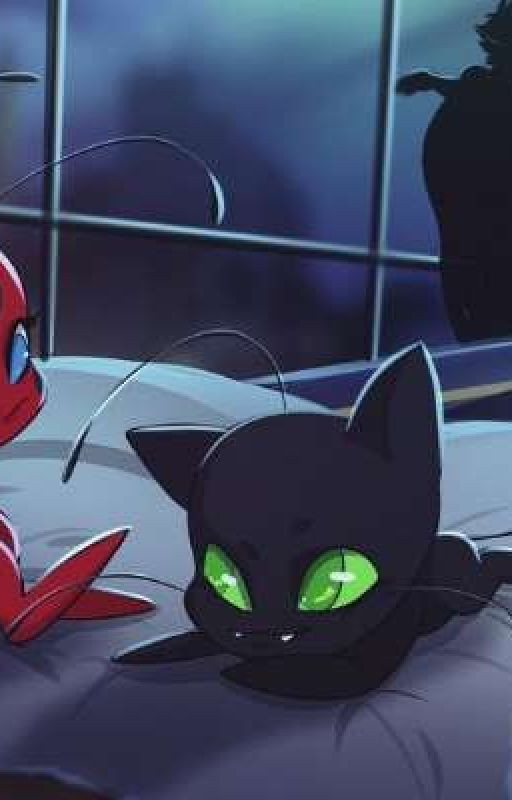 Незнакомцы знающие о друг друге больше чем кто либо