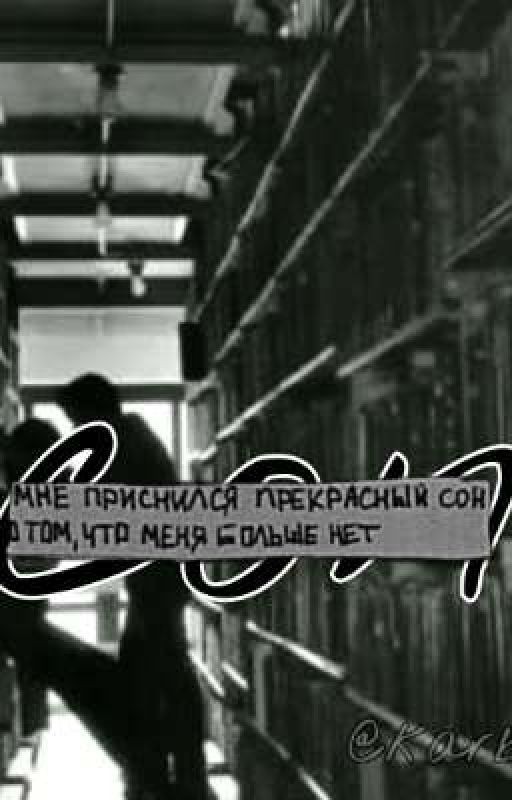 Сон переросший в что-то большее чем ненависть