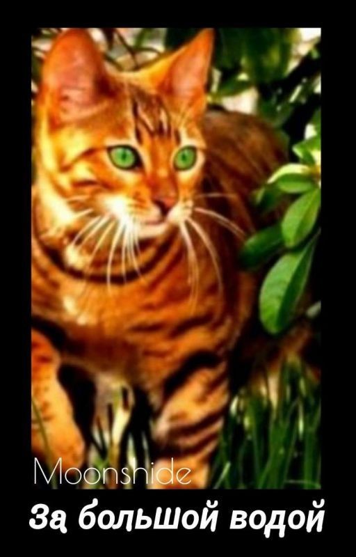 За Большой Водой