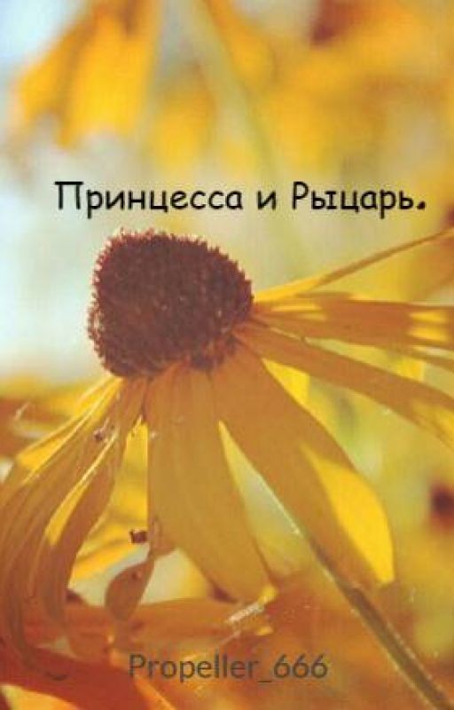 Принцесса и Рыцарь