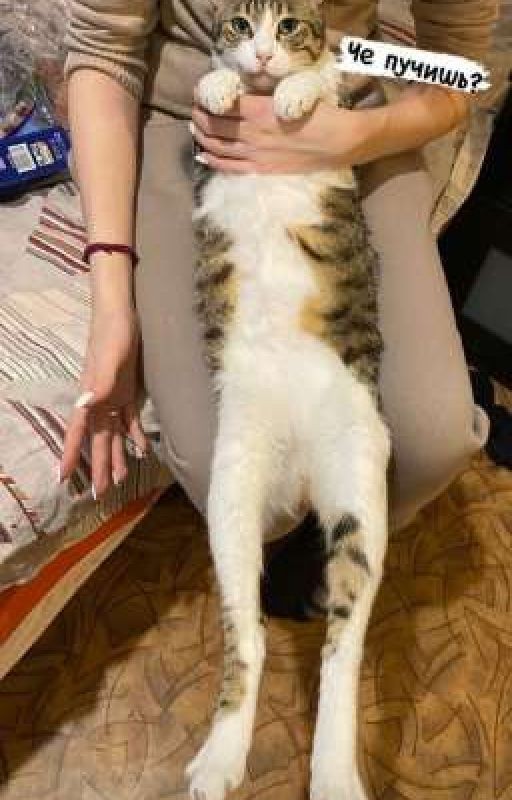 Больше чем друзья🗿❤