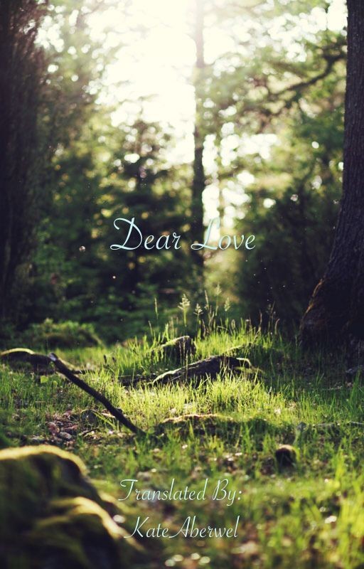 Дневник забытых чувств