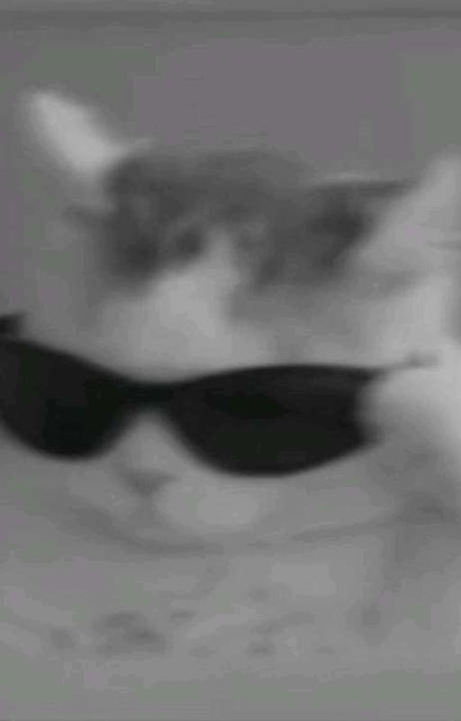 ты мой друг или больше 2