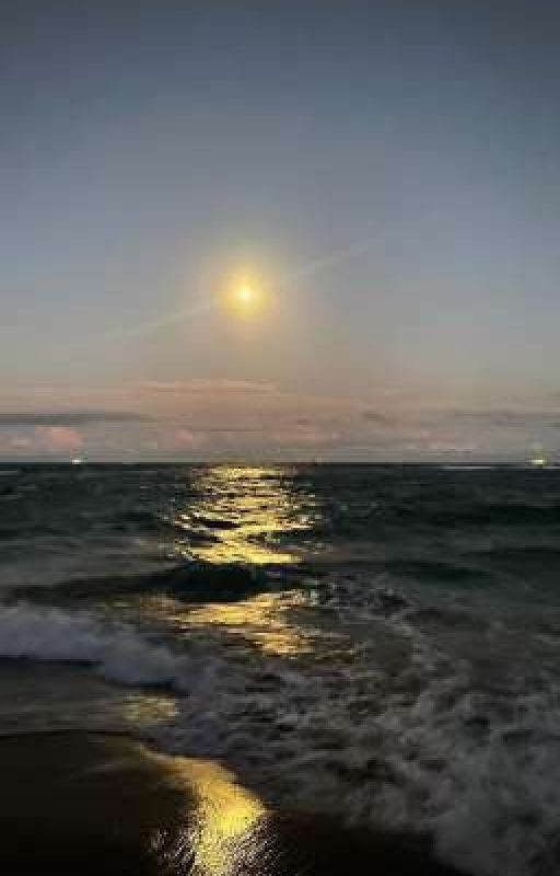 Мафия/Собственник